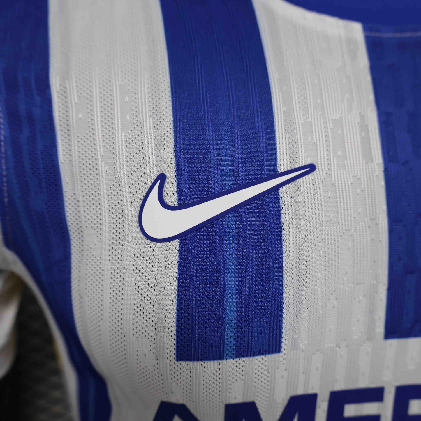 Camiseta Brighton 2024-25