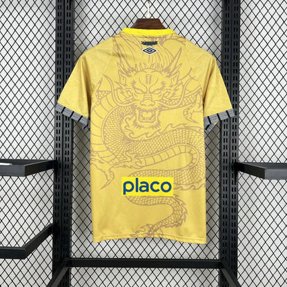Camiseta concepto Santos 2025-26