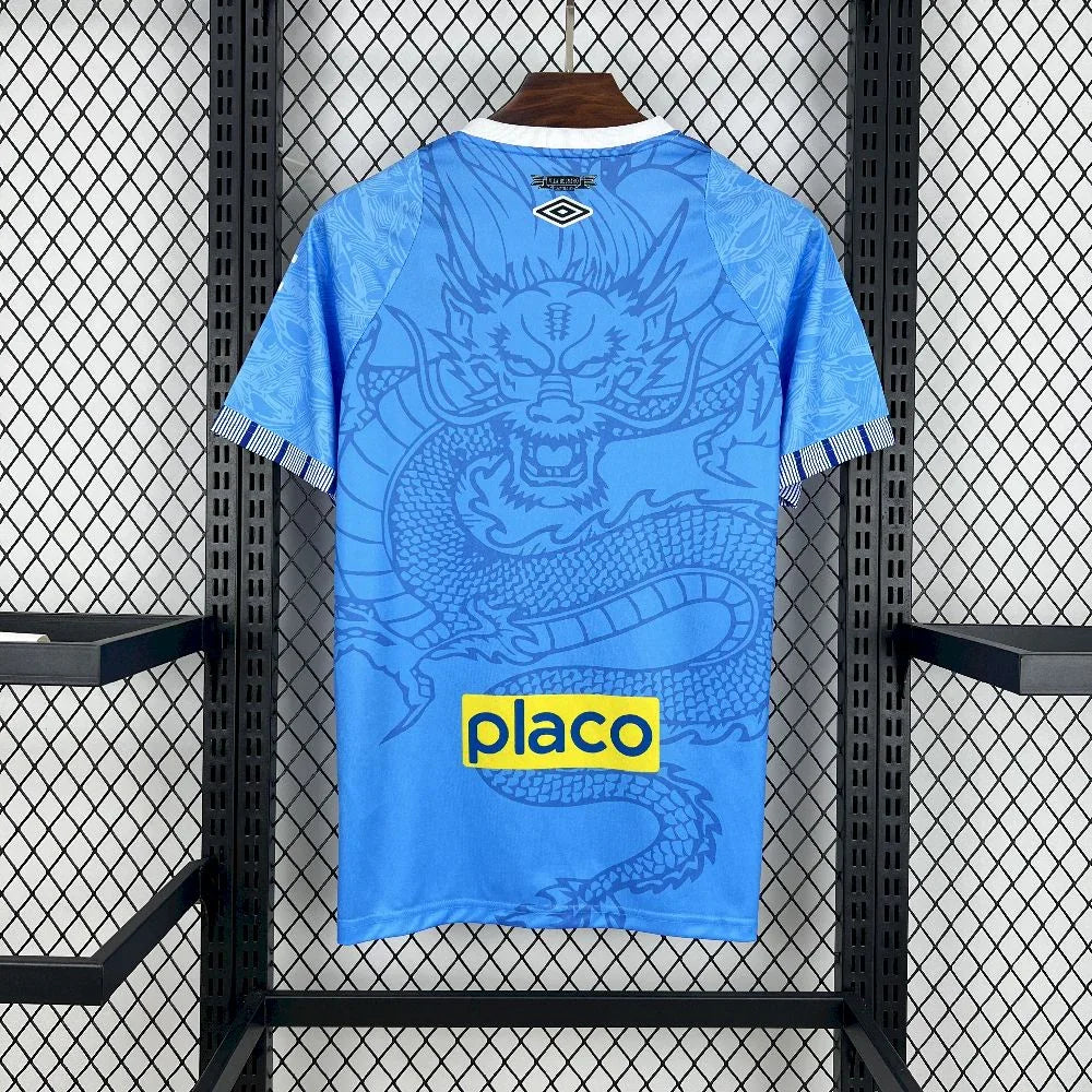 Camiseta concepto Santos 2025-26
