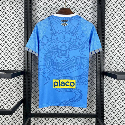 Camiseta concepto Santos 2025-26