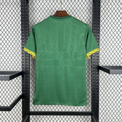 Maillot Mexique concept 2025