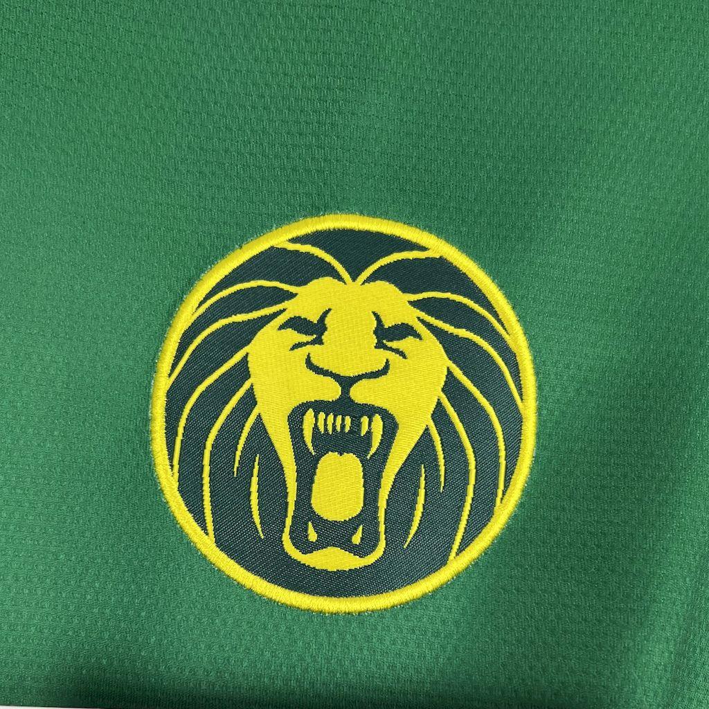 Camiseta Camerún CAN 2025-26