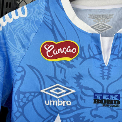 Camiseta concepto Santos 2025-26