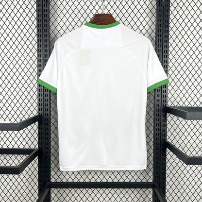 Camiseta Irlanda Concept 2026