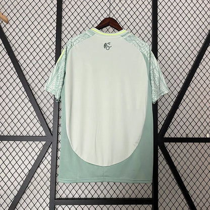 CAMISETA FUERA DE MÉXICO 2024/25