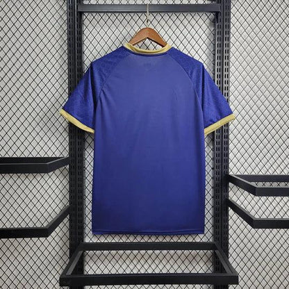 Camiseta Japón temporada 2023-2024 edición especial